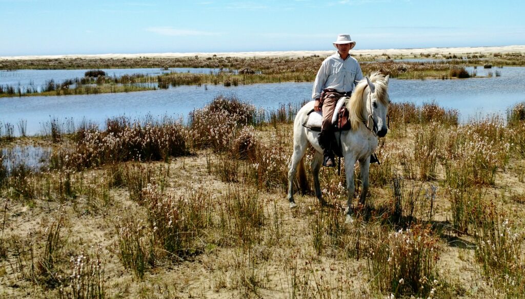 Ruiter en paard in een moerasgebied tijdens trektocht in Brazilië
