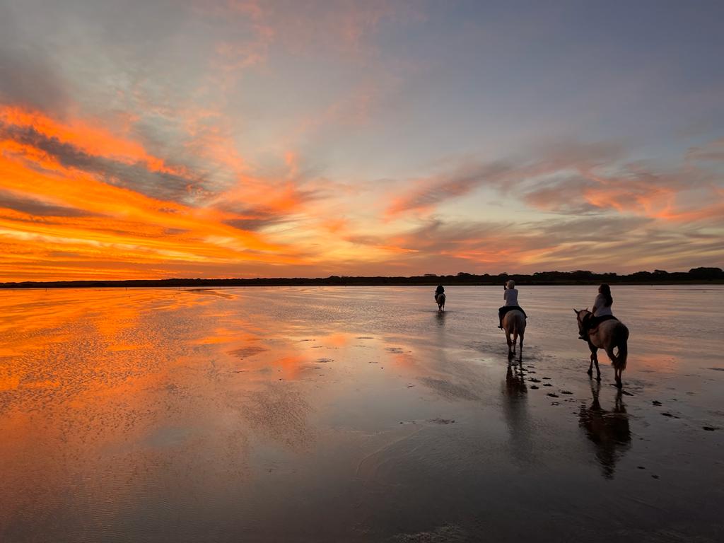 Drie ruiters en paarden rijden op het strand bij zonsondergang