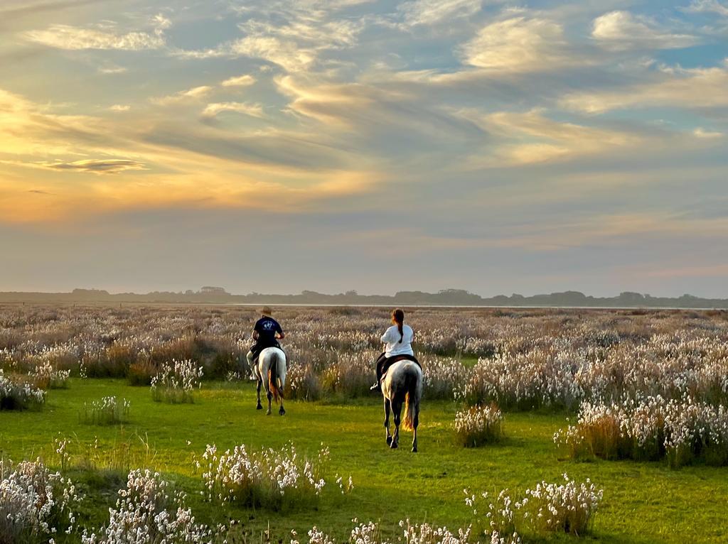 Twee ruiters in een veld met bloemen in Brazilië