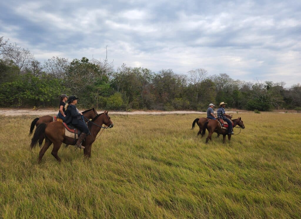 Groep ruiters en paarden in een grasveld tijdens een buitenrit in Brazilië