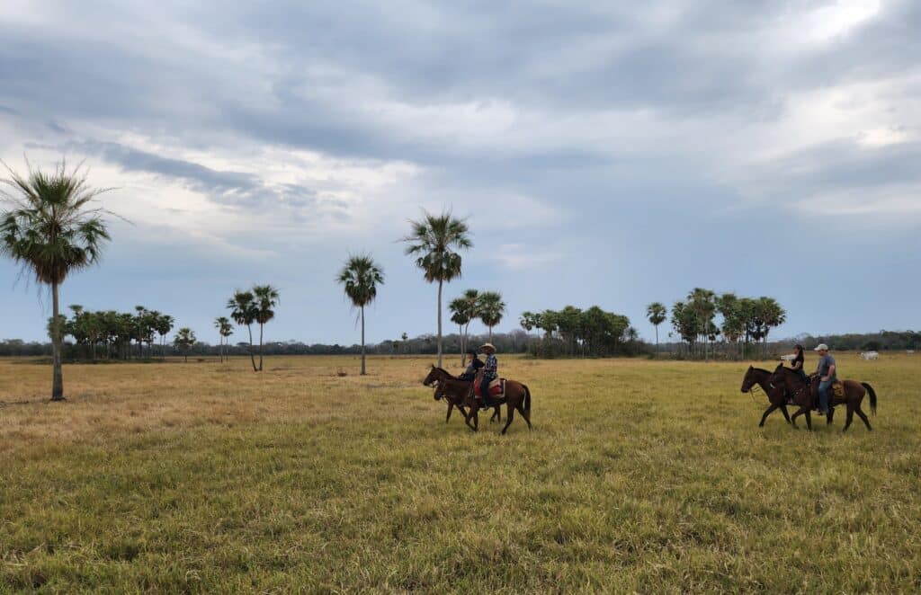 Groep ruiters en paarden in een grasveld tijdens een buitenrit in Brazilië
