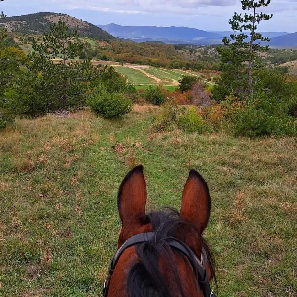 Uitzicht vanaf een paard op de velden en bergen tijdens een buitenrit in Kroatië