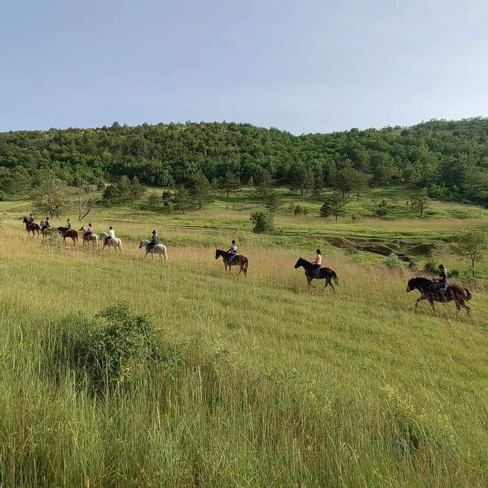 Groep ruiters en paarden rijden door een weiland tijdens een buitenrit in Kroatië.