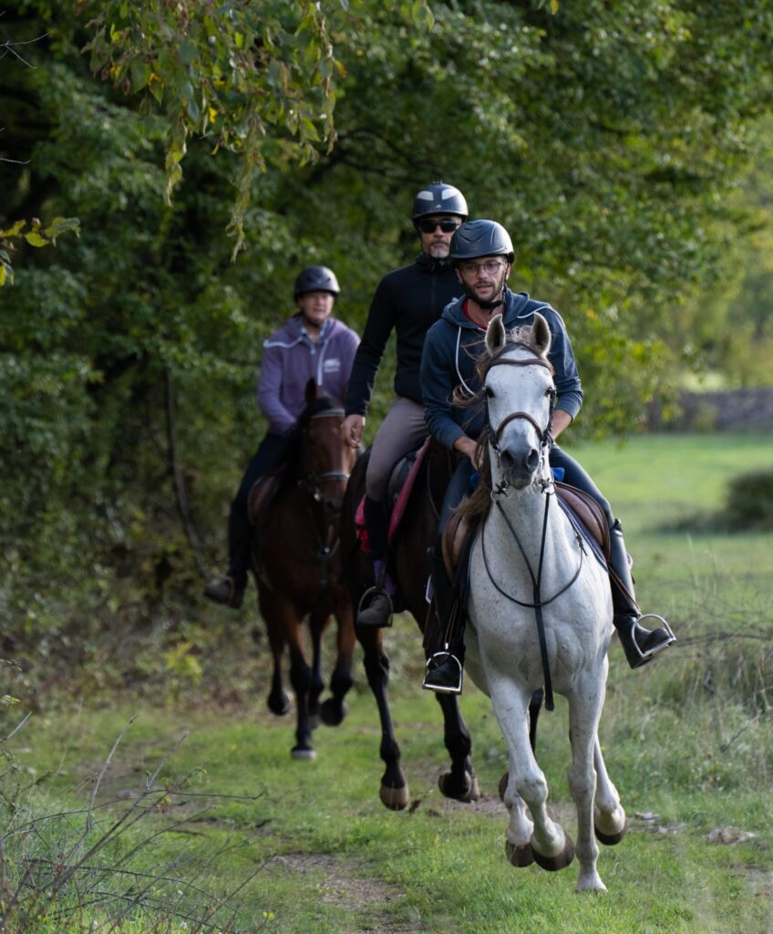 Drie ruiters en paarden galopperen over een bospad tijdens een buitenrit in Kroatië.