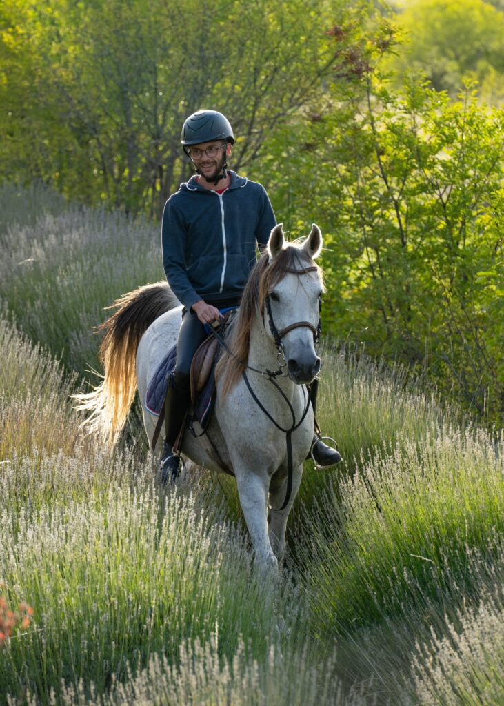 Ruiter en paard rijden door een lavendelveld in Dalmatië.