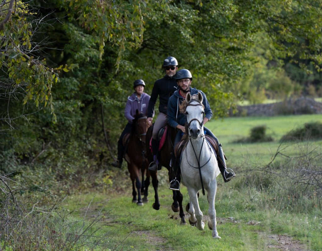 Drie ruiters en paarden galopperen over een bospad tijdens een buitenrit in Kroatië.