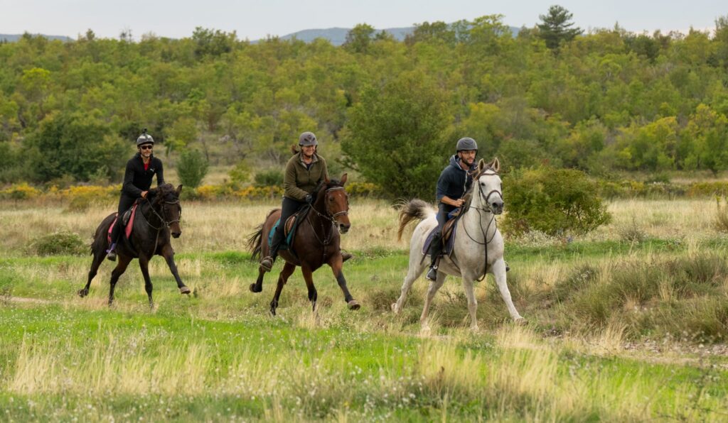 Drie ruiters en paarden galopperen door een veld tijdens een paardrijvakantie in Kroatië.