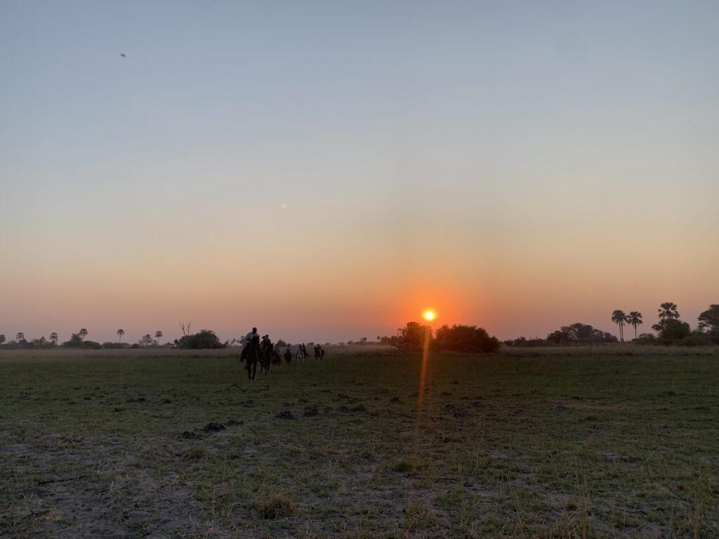 Groep ruiters komt terug van een safari bij zonsondergang in Botswana