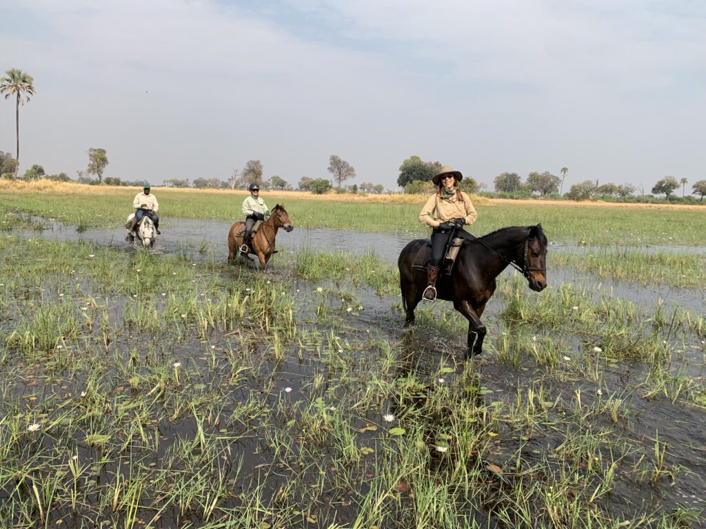Drie ruiters en paarden rijden door het water van de Okavango Delta in Botswana