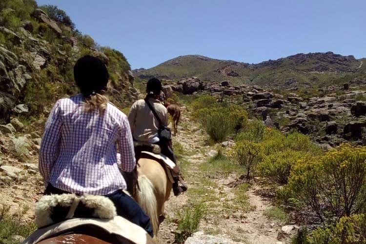 Ruiters en paarden rijden over een bergpad tijdens een trektocht in Argentinië.