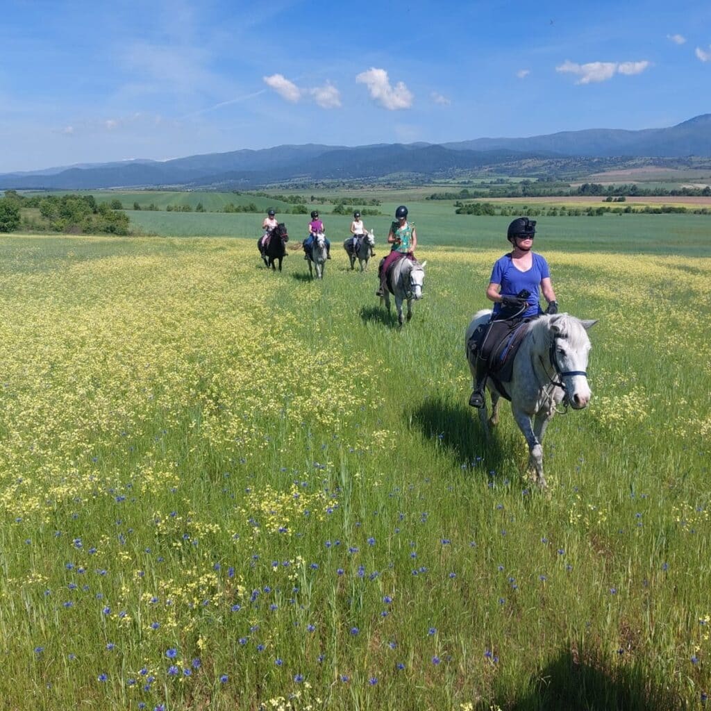 Groep ruiters en paarden in een veld in Bulgarije.