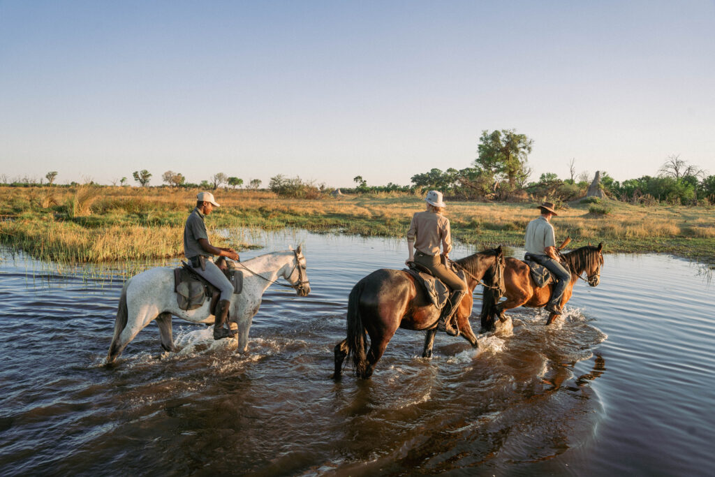 Drie ruiters en paarden rijden door het water in de Okavango Delta in Botswana.