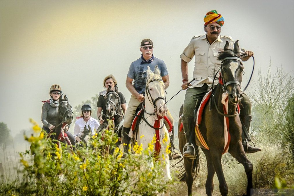 Groep ruiters en Marwari paarden tijdens een trektocht in India