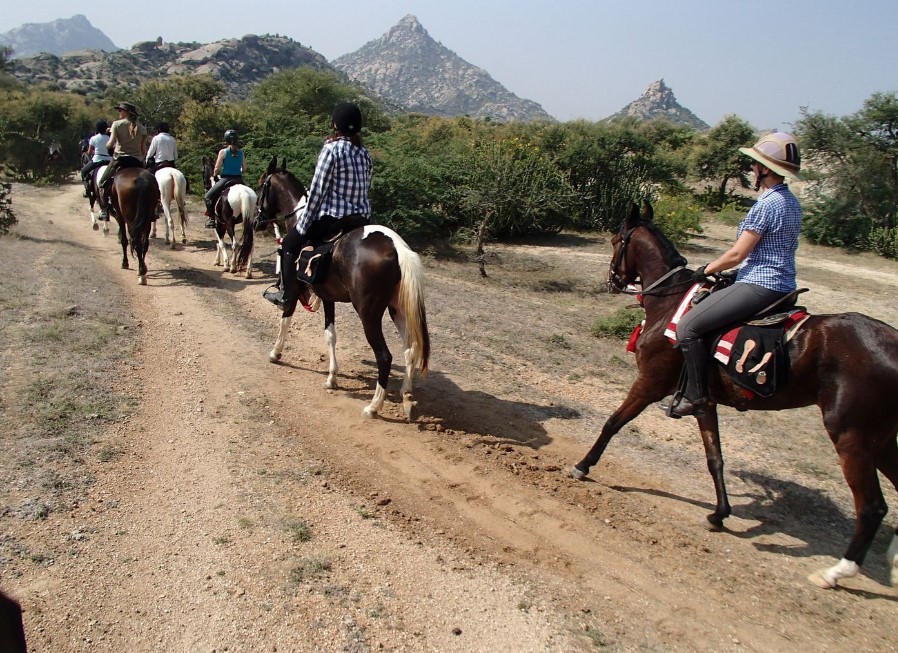 Ruiters en paarden tijdens een rit in India met bergen op de achtergrond.
