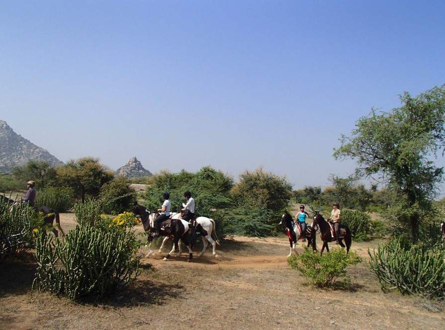 Ruiters en Marwari paarden tijdens een rit in India met bergen op de achtergrond.