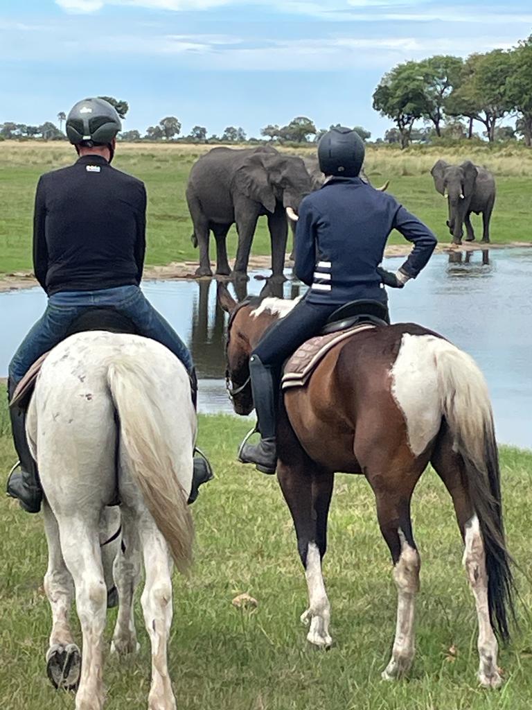 twee ruiters kijken naar olifanten die water drinken op een safari te paard in botswana