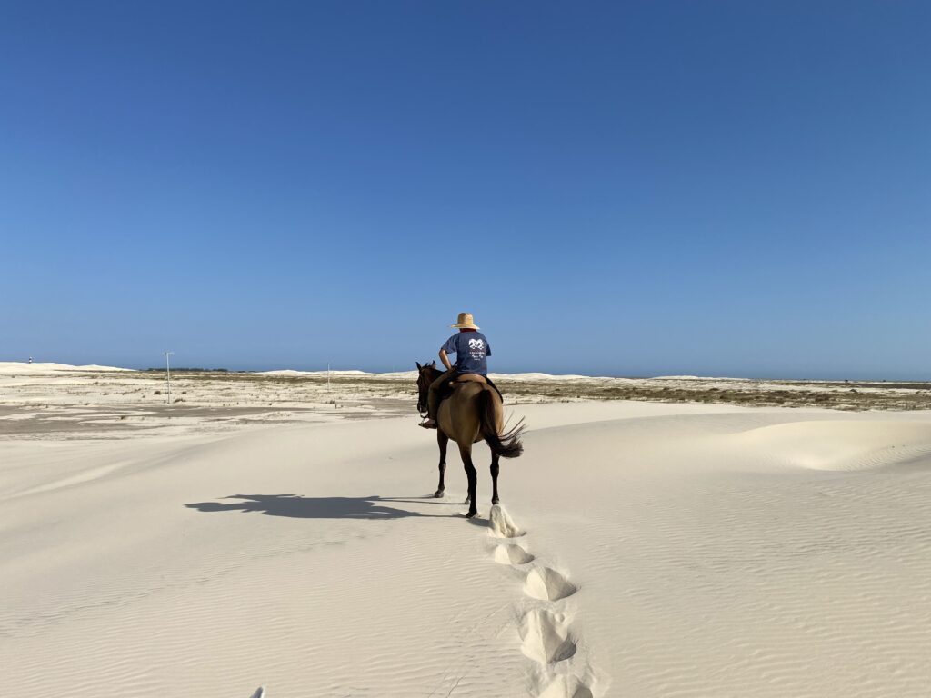 Ruiter en paard in de zandduinen aan de kust van Brazilië