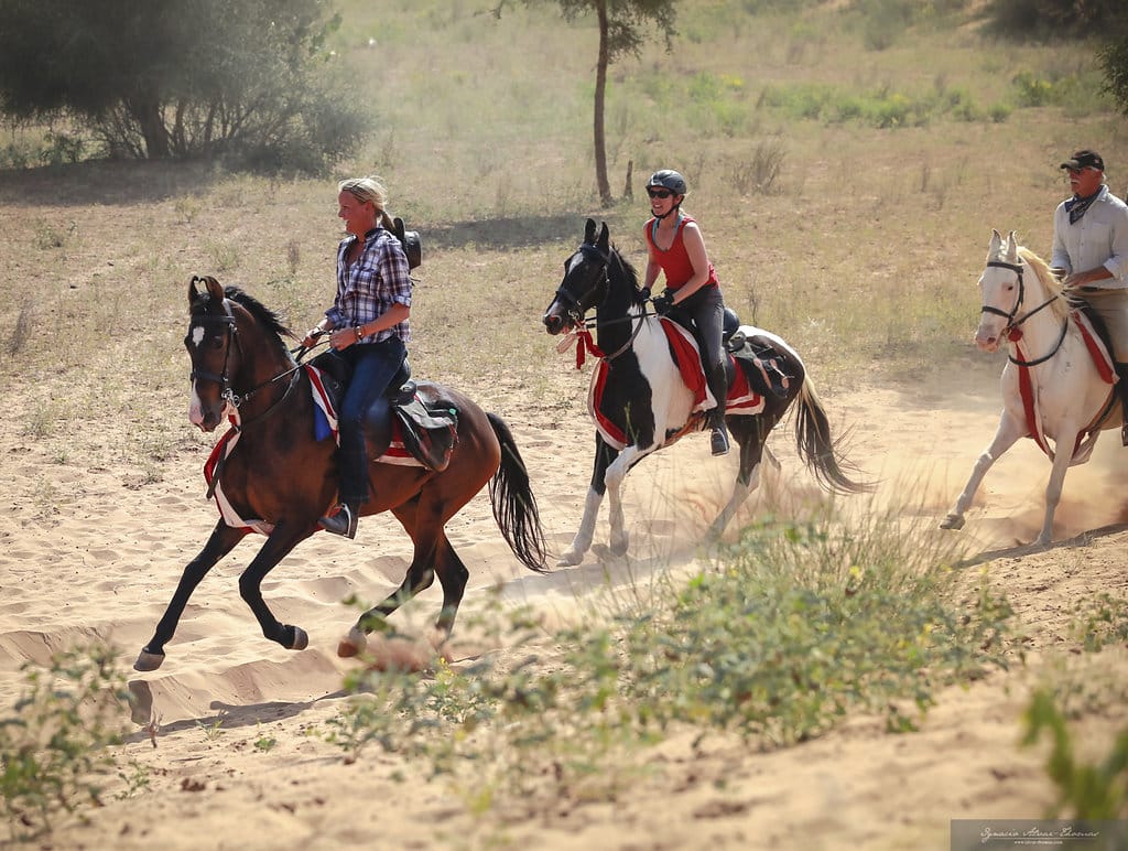Ruiters op Marwari paarden tijdens een trektocht in India