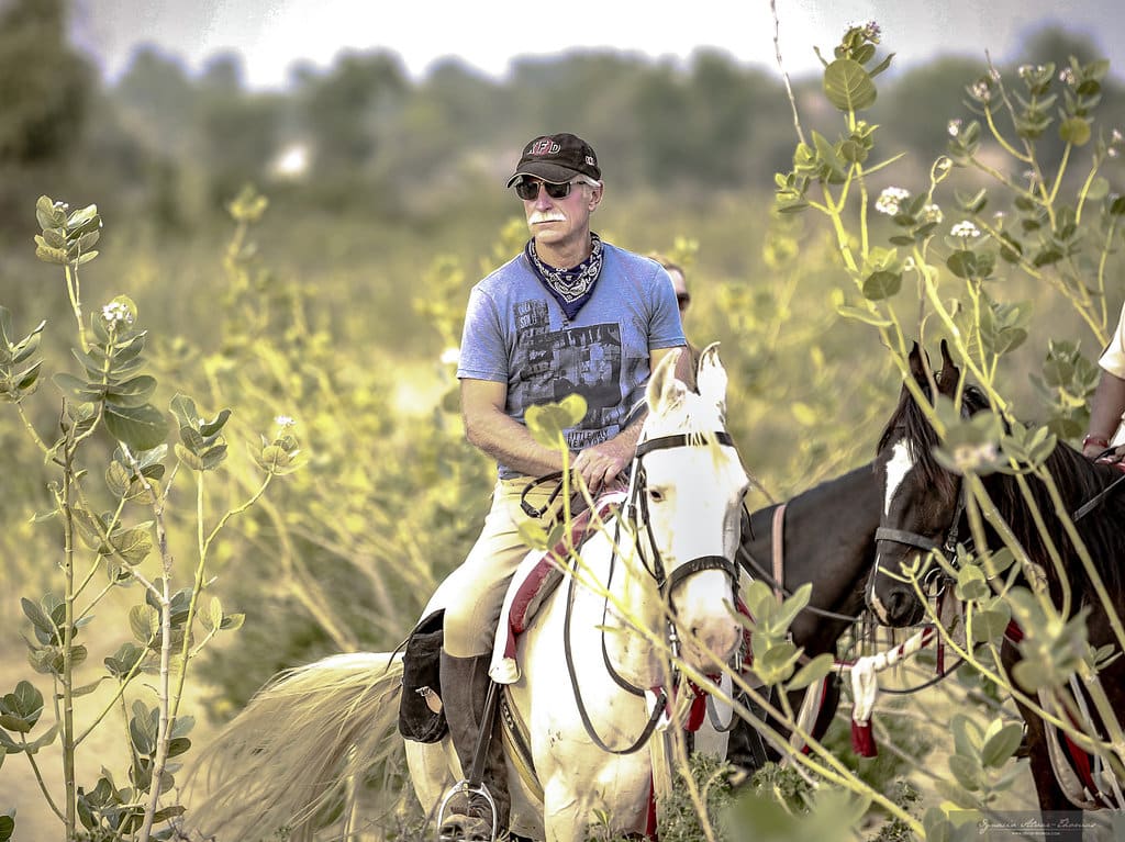 Ruiter op een Marwari paard in een veld tijdens een trektocht in India