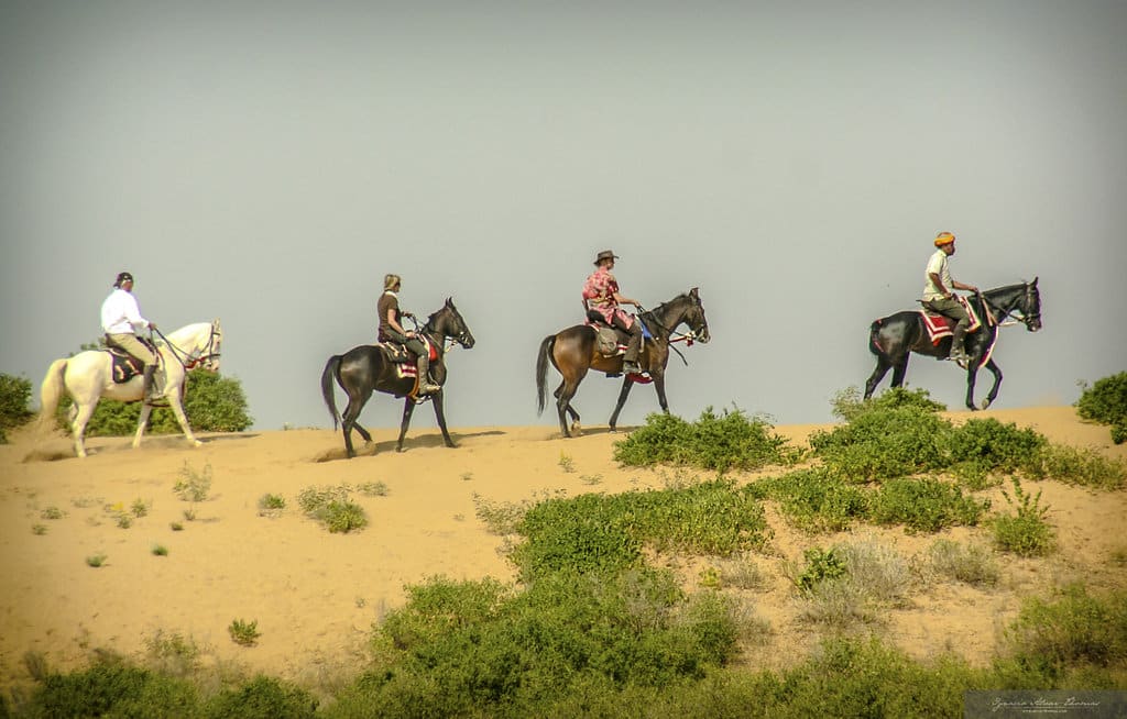 Ruiters op Marwari paarden rijden over een zandduin tijdens een trektocht in India