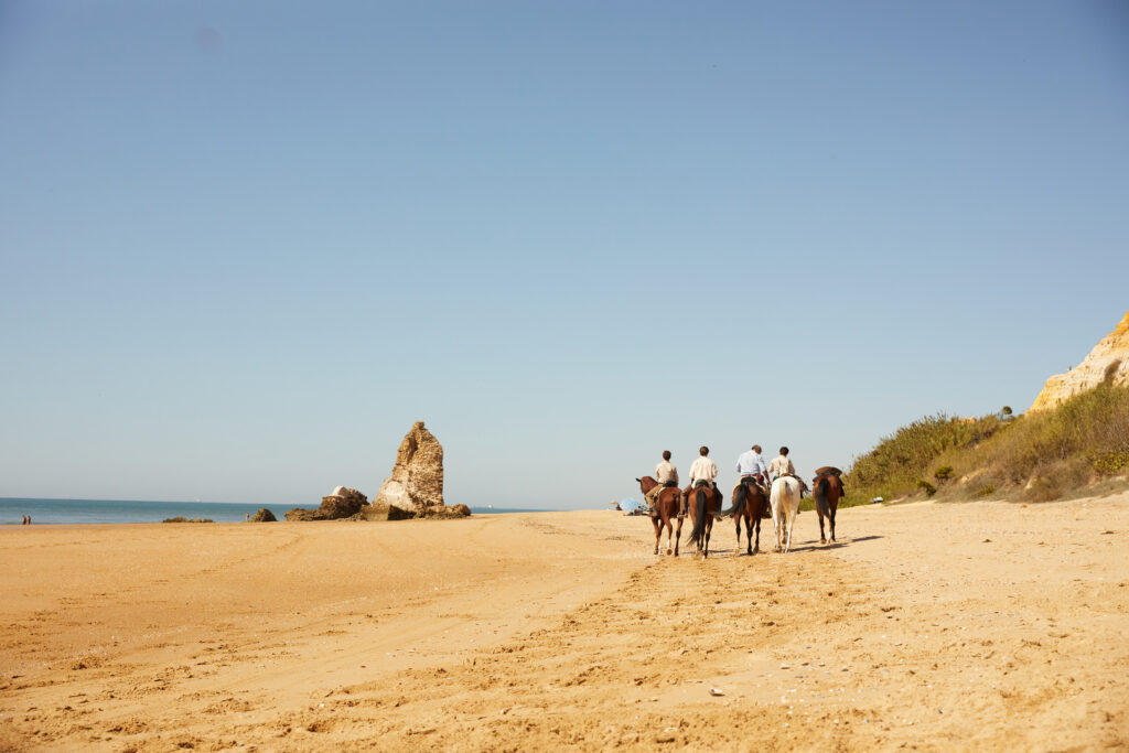 Groep ruiters en paarden op het strand van Spanje tijdens een buitenrit.