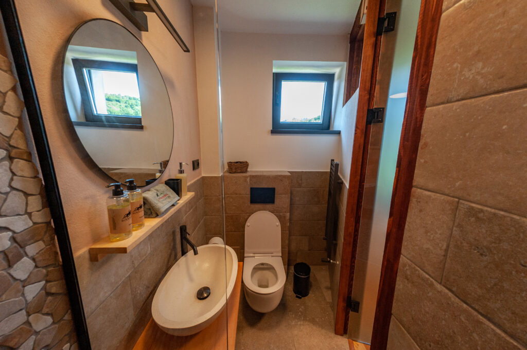 Badkamer met toilet, wastafel en spiegel in het guesthouse van de paardrijvakantie in Roemenië