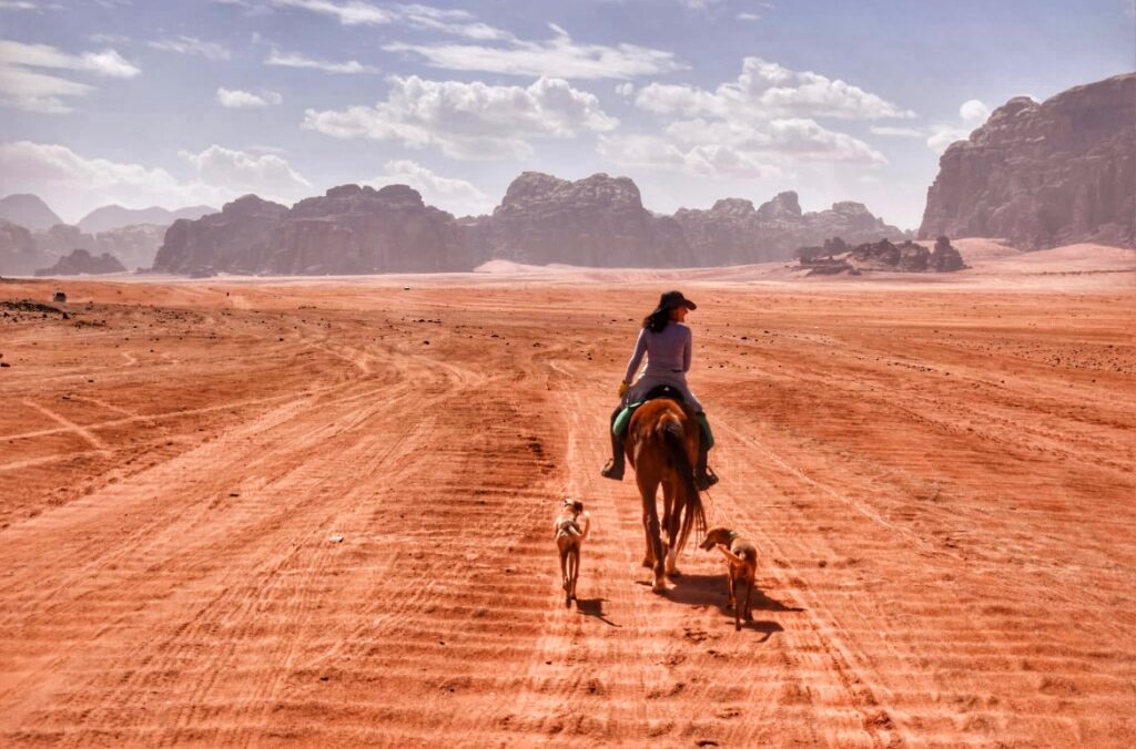 Ruiter en paard met twee honden in de Wadi Rum woestijn van Jordanië