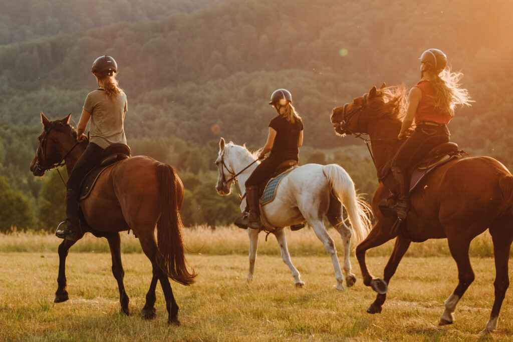 Ruiters en paarden galopperen door een veld bij zonsondergang in Roemenië