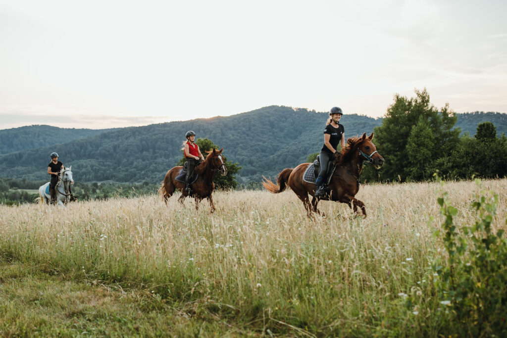Ruiters en paarden galopperen door een veld in Roemenië