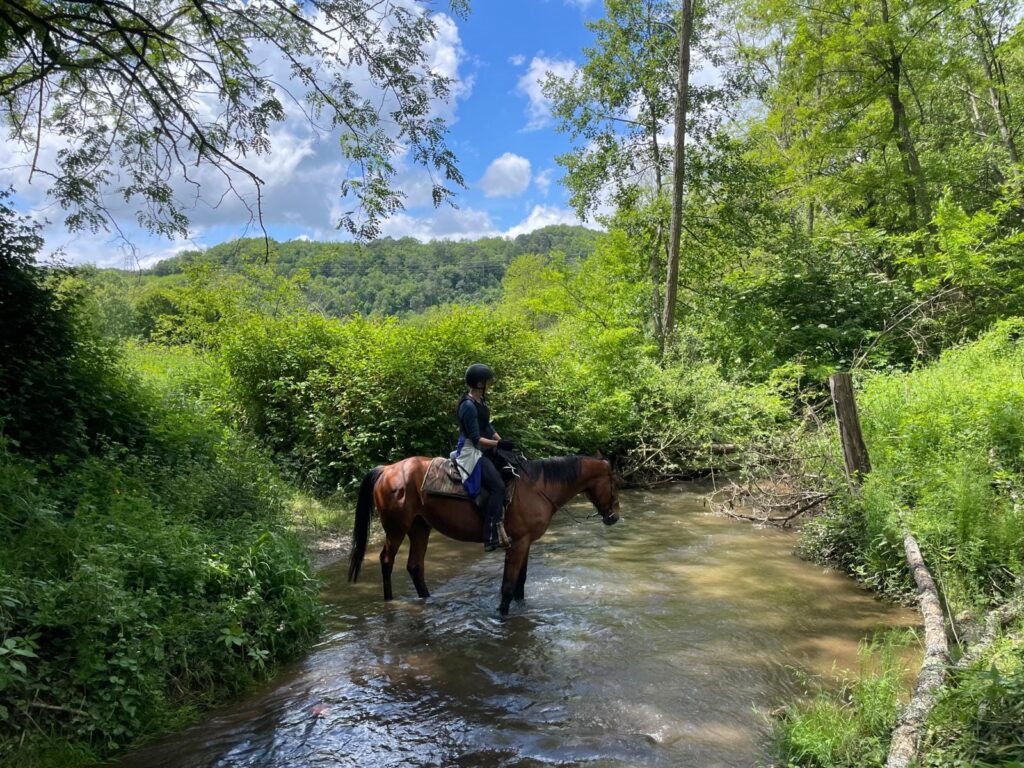 Ruiter en paard in een riviertje tijdens een paardrijvakantie in Frankrijk