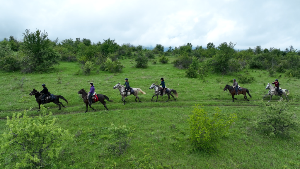 Groep ruiters en paarden galopperen door een veld in Noord-Macedonië