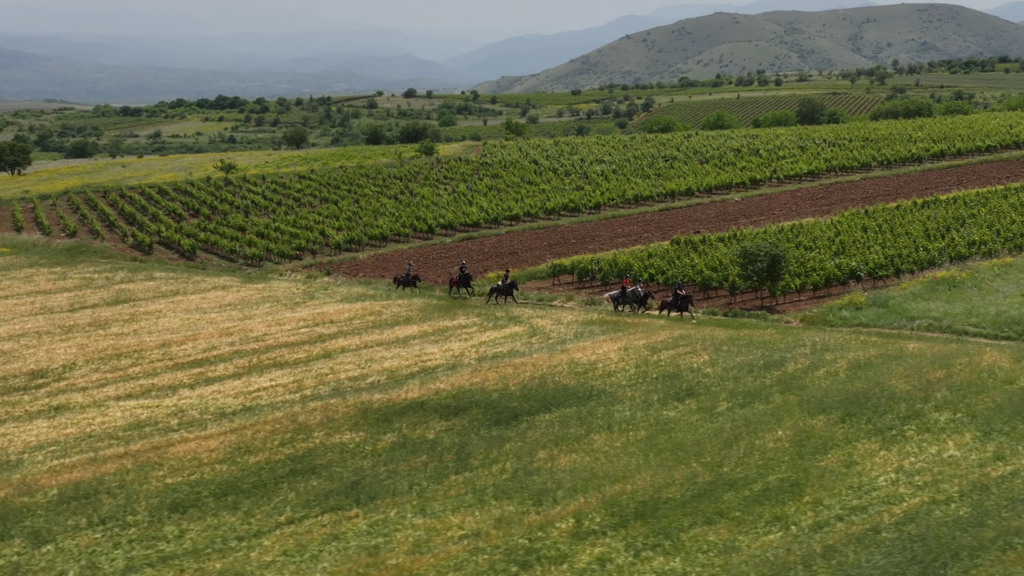 Groep ruiters en paarden galopperen door een veld in Noord-Macedonië