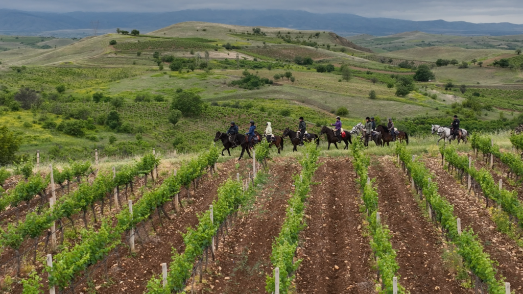 Groep ruiters en paarden rijden door een wijngaard in Noord-Macedonië