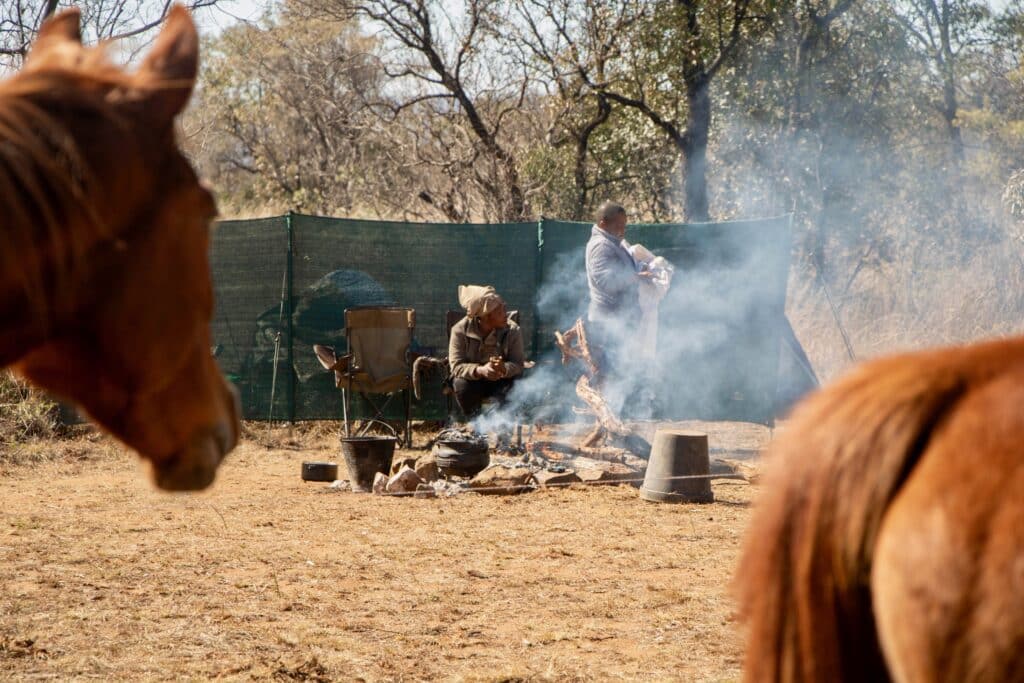 Twee mannen maken een kampvuur met paarden op de voorgrond op een safari in Zuid-Afrika
