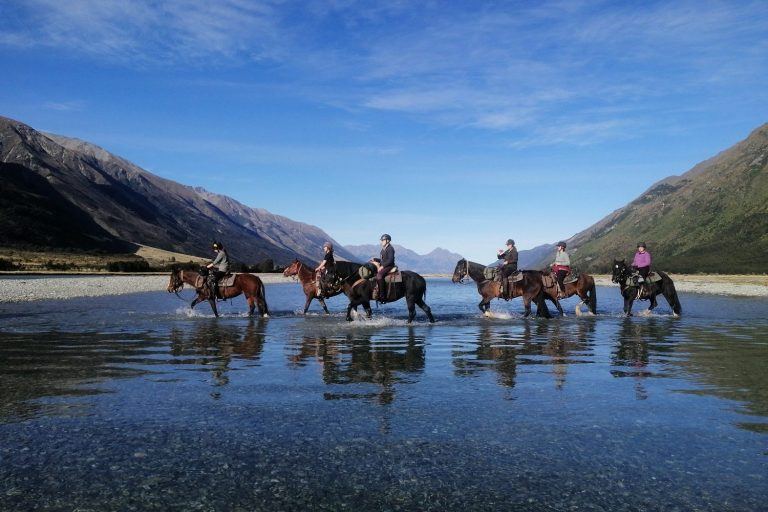 Groep ruiters en paarden steekt een rivier over in Nieuw Zeeland