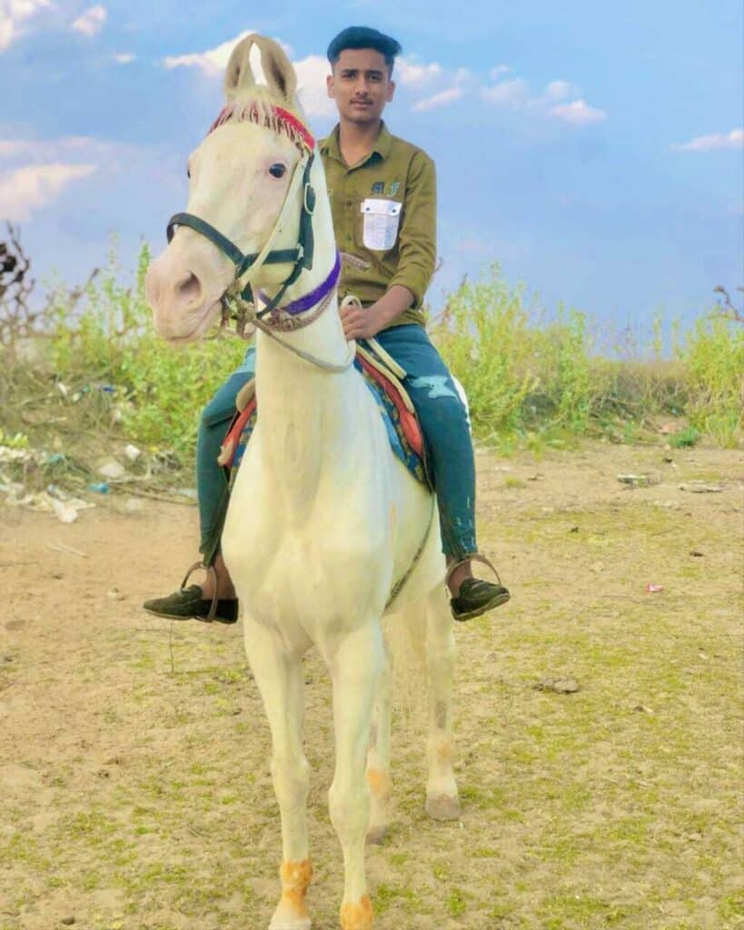 Ruiter op een wit Marwari paard tijdens een paardrijvakantie in India