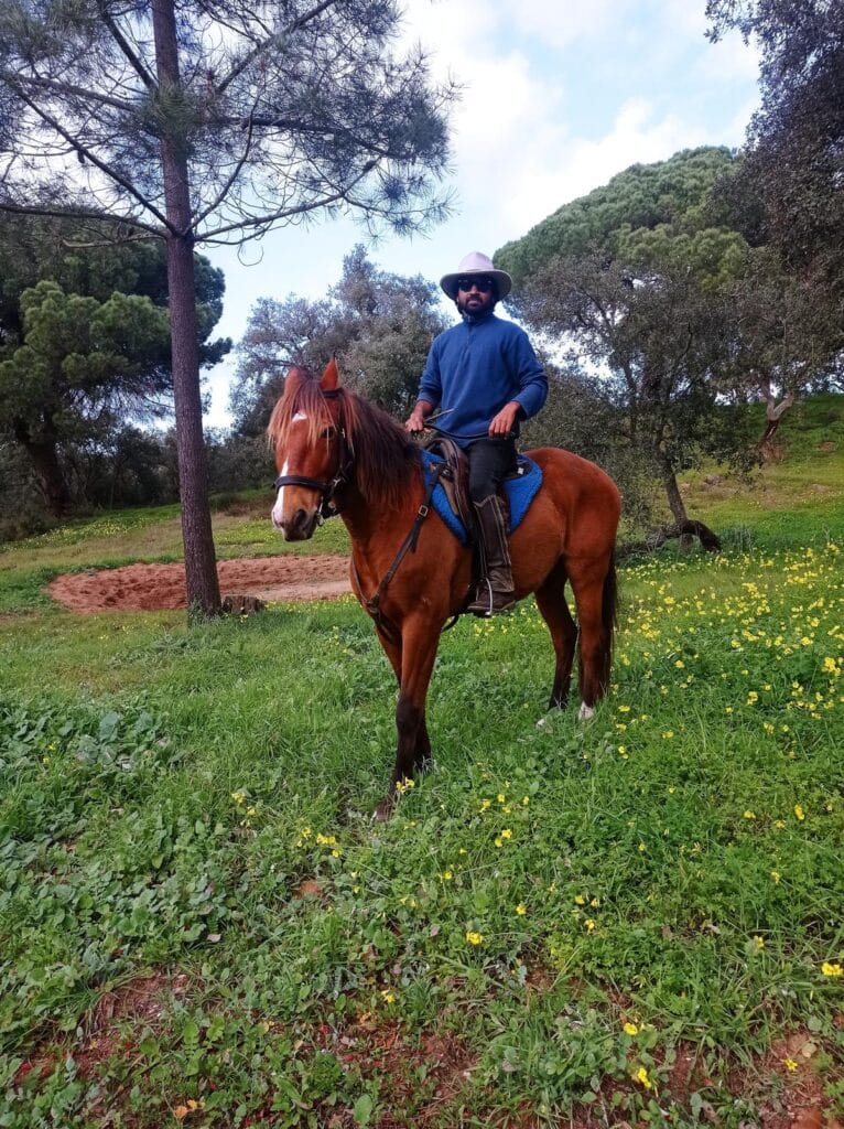 Ruiter op een bruin Marwari paard tijdens een paardrijvakantie in India