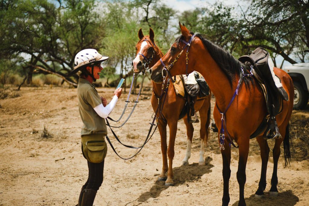 Vrouw maakt een foto van twee opgezadelde paarden in Namibië