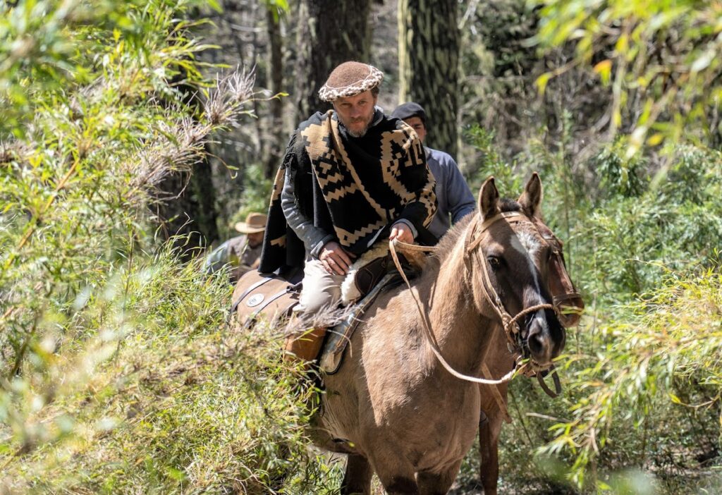 Ruiter en paard in de bossen van Patagonië in Argentinië.