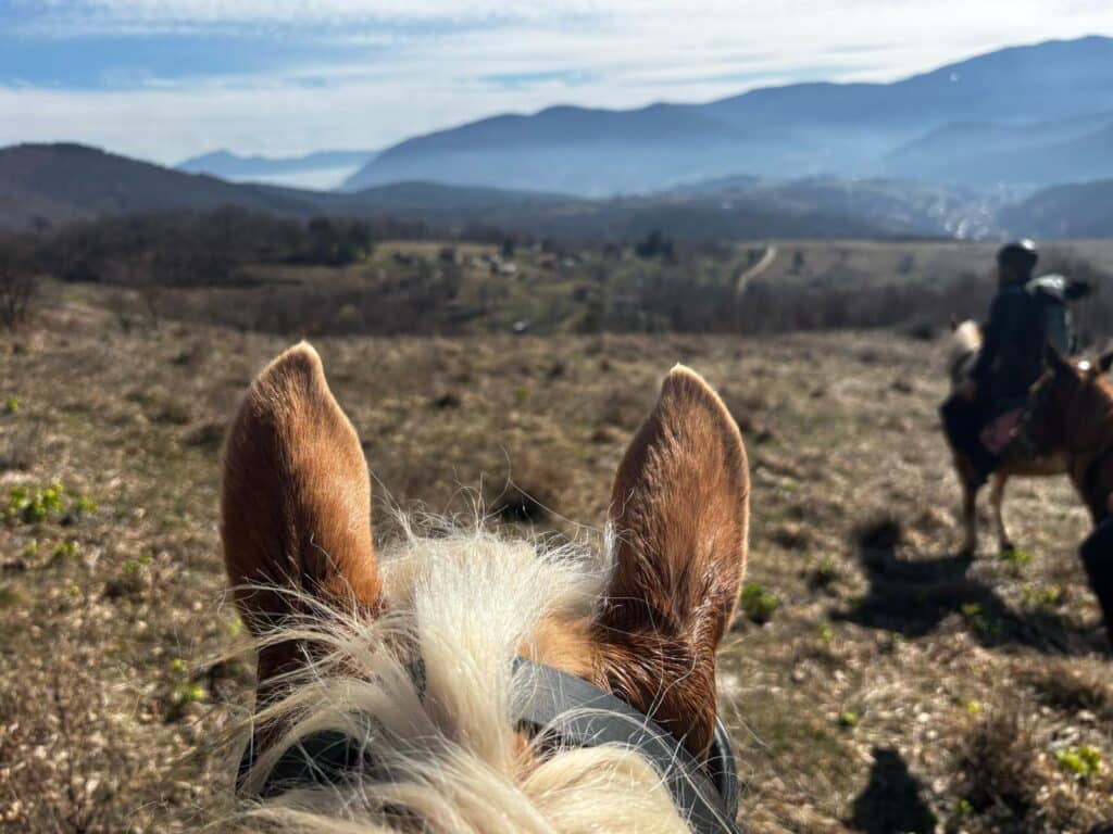 Uitzicht vanaf een paard over de bergen van Bosnië