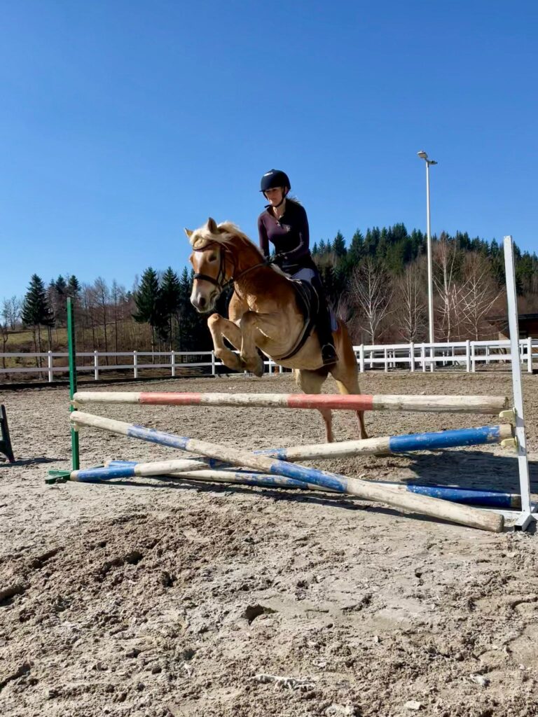 Ruiter en paard springen over een hindernis tijdens een paardrijvakantie in Bosnië