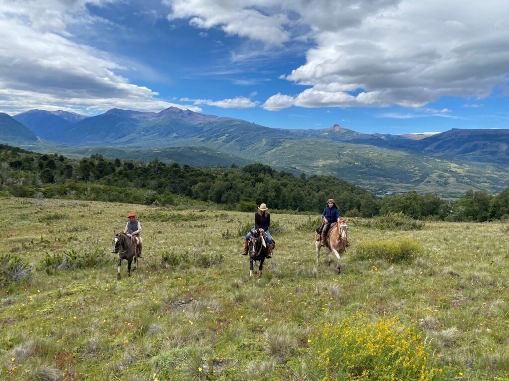 Ruiters en paarden rijden door de velden in Argentinië