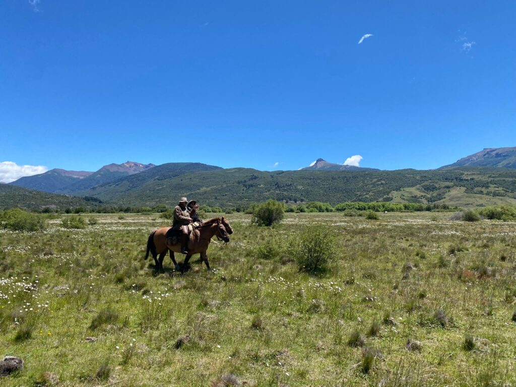 Twee ruiters en paarden rijden door de velden in Argentinië