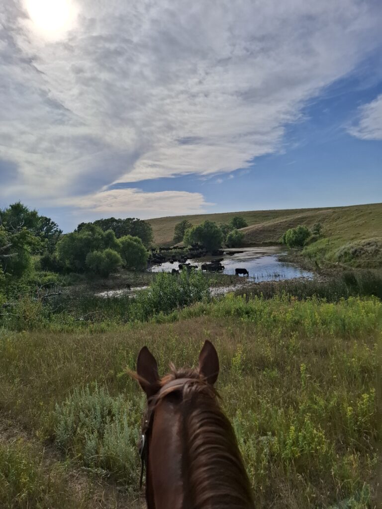 Uitzicht vanaf het paard op de heuvels en een meer in Wyoming