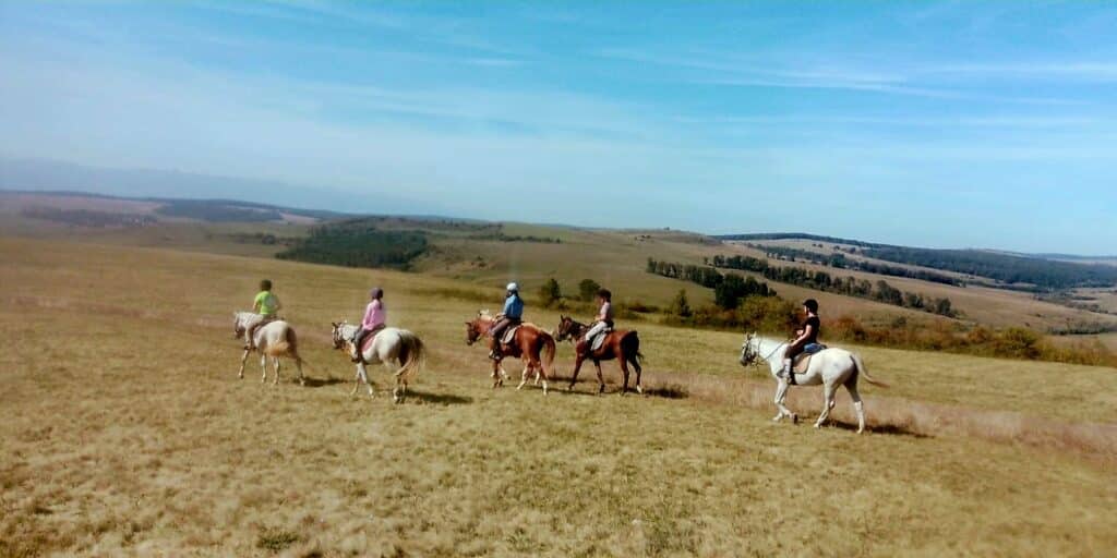 Groep ruiters en paarden tijdens een trektocht in de bergen van Roemenië