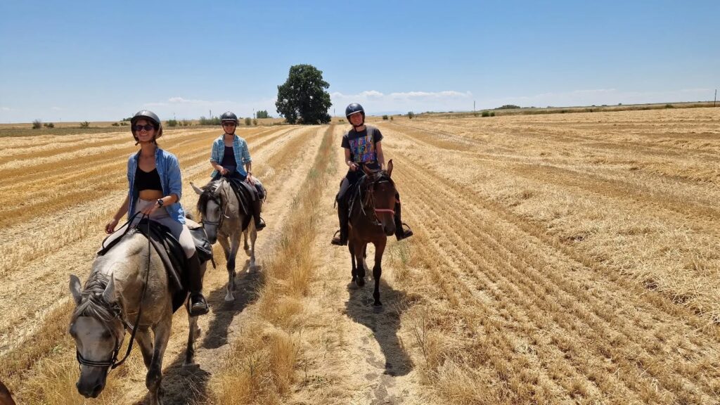Ruiters en paarden rijden door een graanveld in Bulgarije