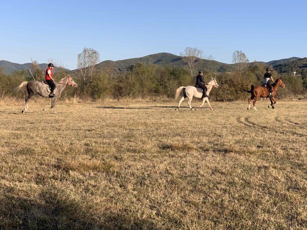 Groep ruiters en paarden galopperen door een veld op trektocht in Bulgarije