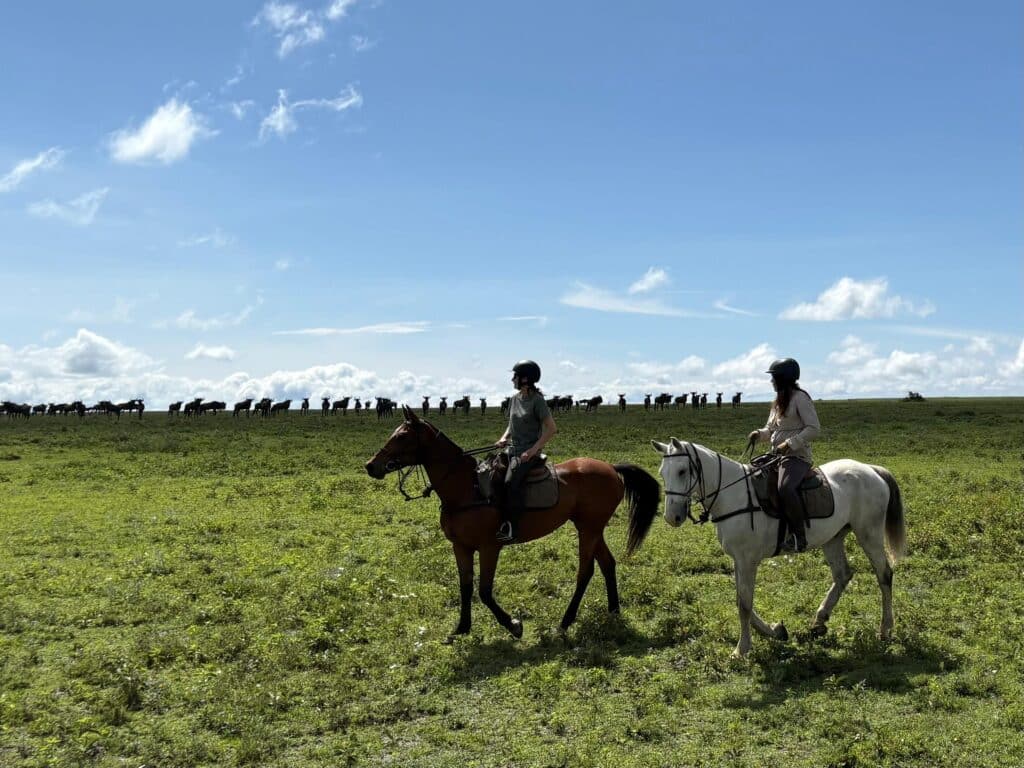 Twee ruiters en paarden rijden over de Serengeti met een kudde gnoes op de achtergrond tijdens een safari te paard in Tanzania